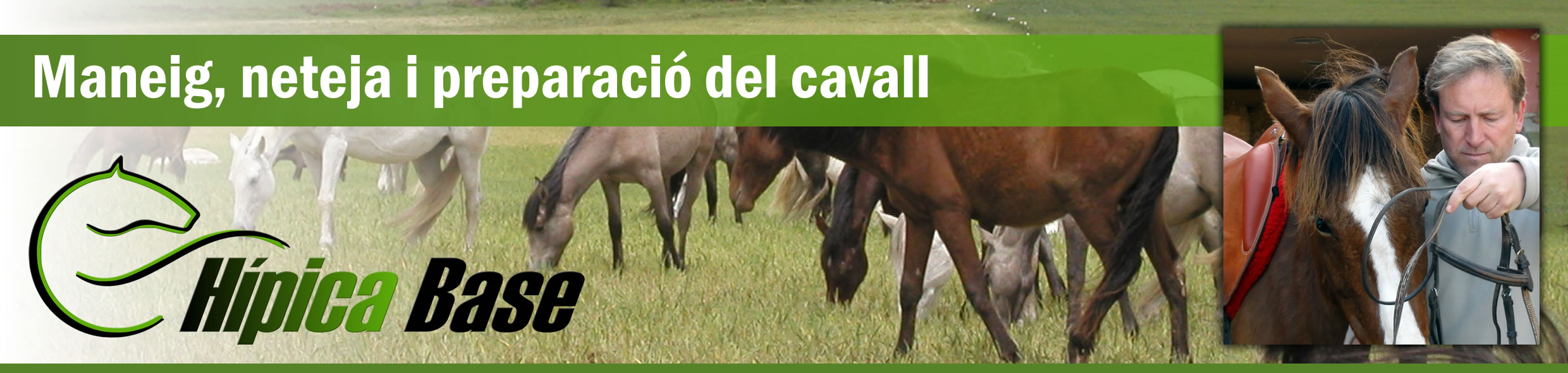 Maneig, neteja i preparacio del cavall